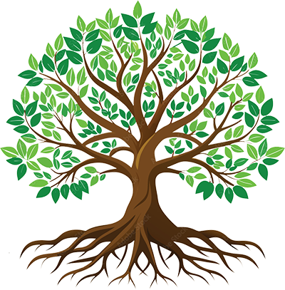 Root Branch Fruit Tree